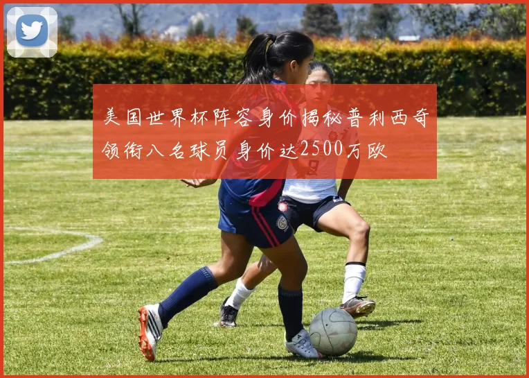 美国世界杯阵容身价揭秘普利西奇领衔八名球员身价达2500万欧