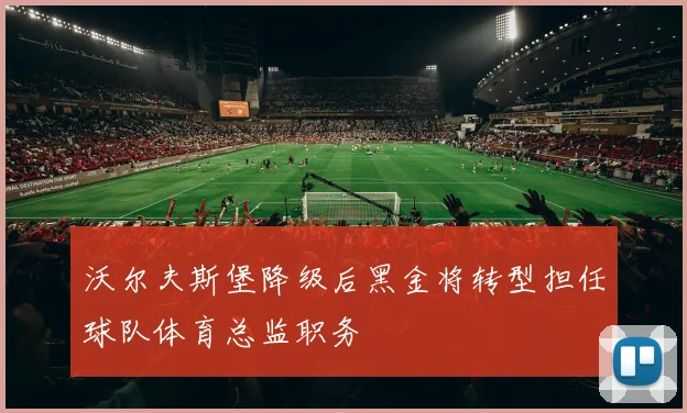 沃尔夫斯堡降级后黑金将转型担任球队体育总监职务