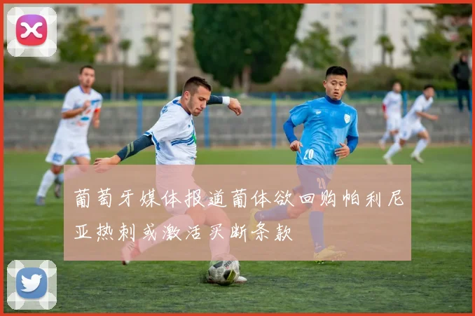 葡萄牙媒体报道葡体欲回购帕利尼亚热刺或激活买断条款